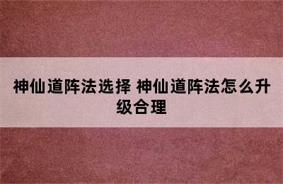 神仙道阵法选择 神仙道阵法怎么升级合理